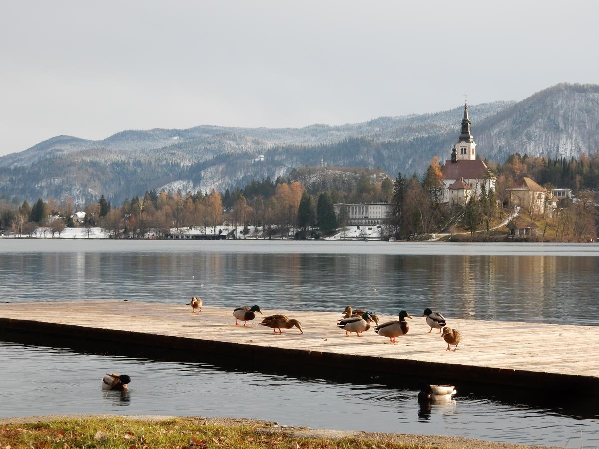 Lake House Sebanc Μπλεντ Εξωτερικό φωτογραφία